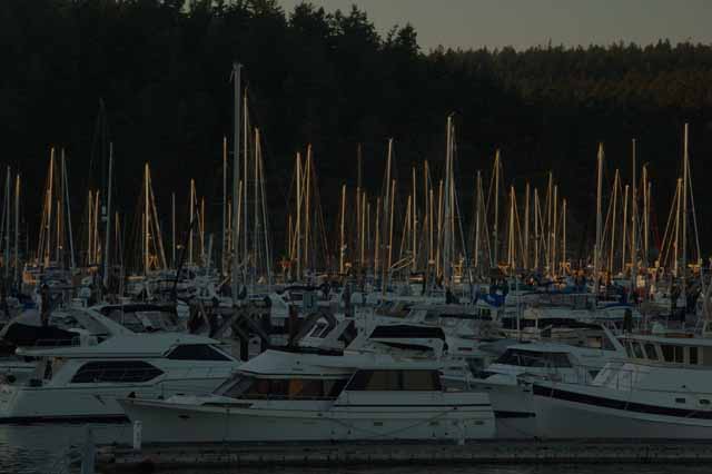 Friday Harbor